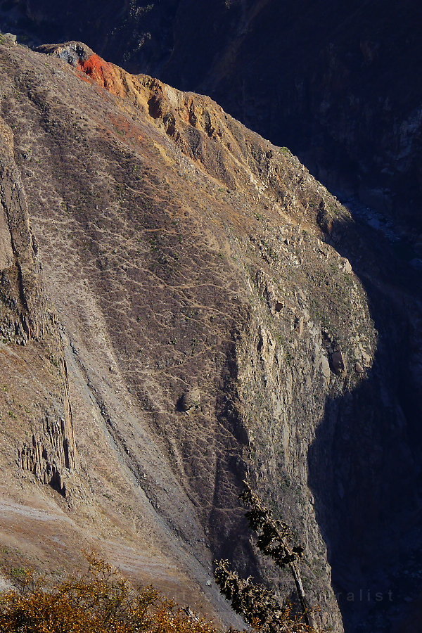 cañón del colca