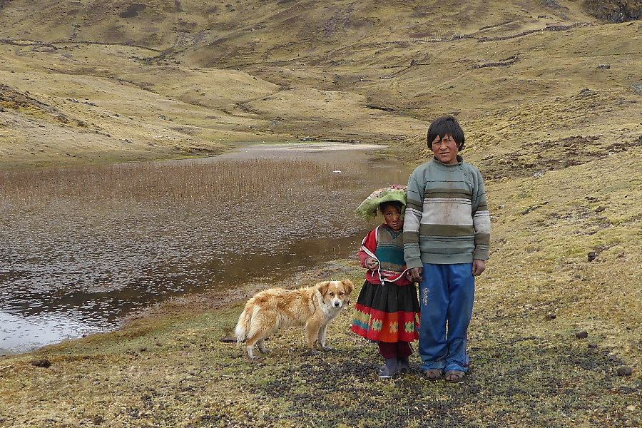 Los Hermanos Y El Perro