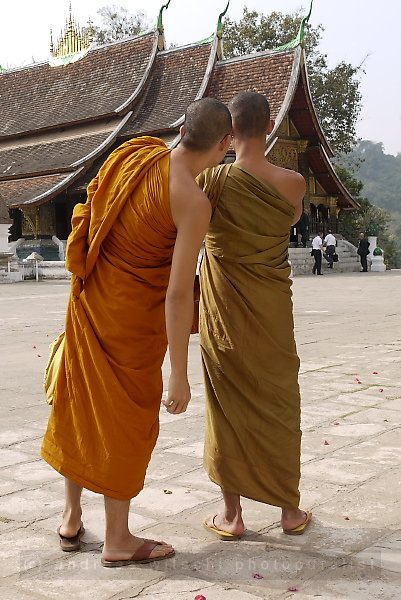 photographing temple visitors