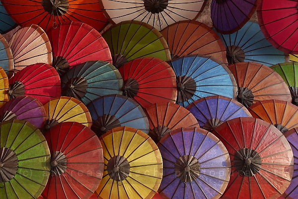 The Parasols