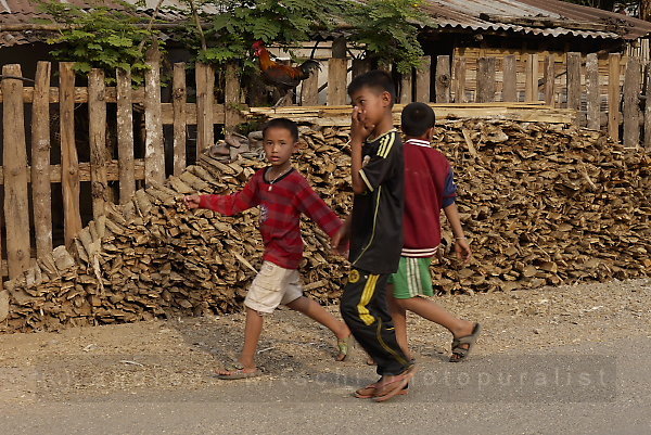 three boys and the cock