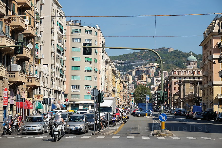 genova