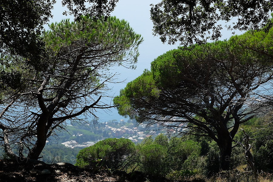 san bernardo, monte santa croce, (bogliasco)