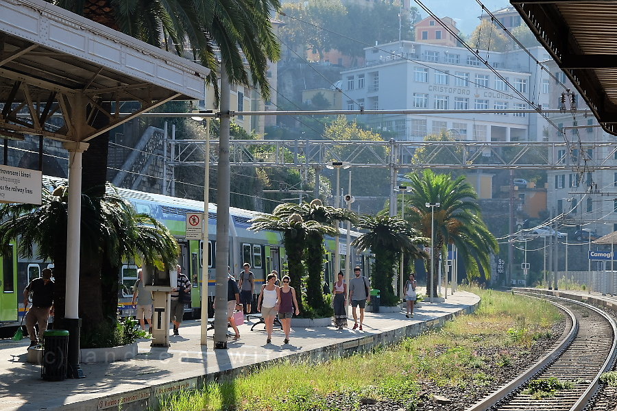 camogli