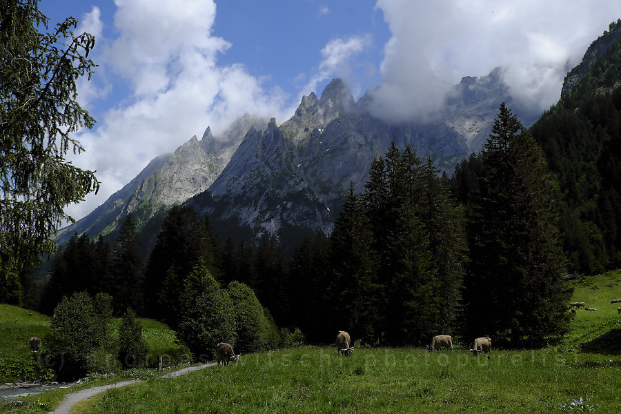 engelhörner - rosenlaui, gschwandtenmaad