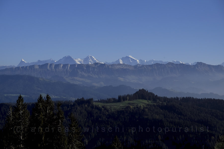 berner alpen von ringgis gesehen