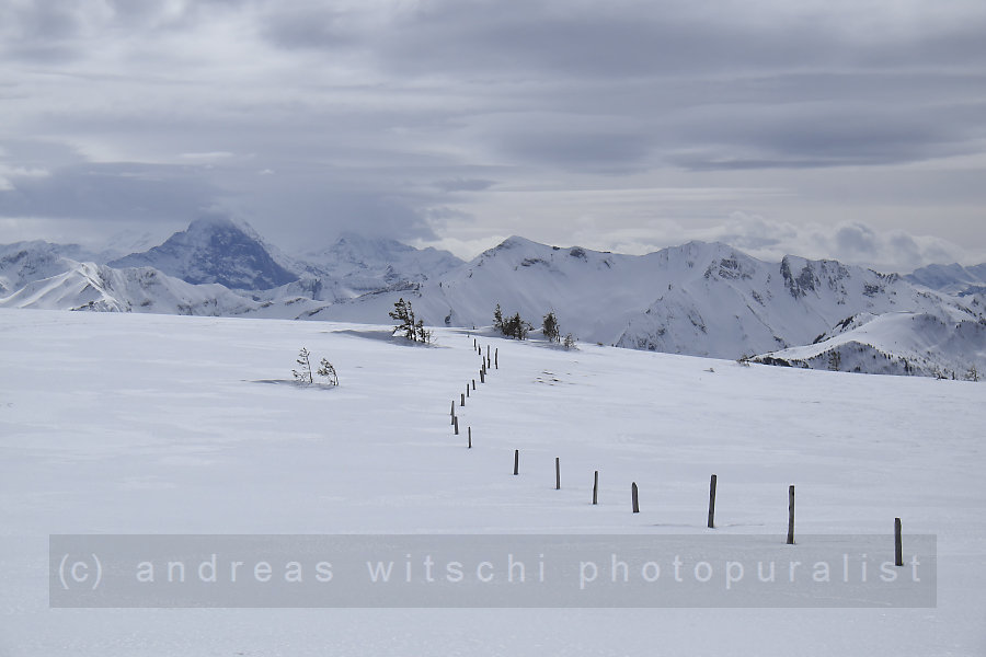 blick in die berner alpen von der trogenegg